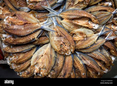 tuyo fish philippines.